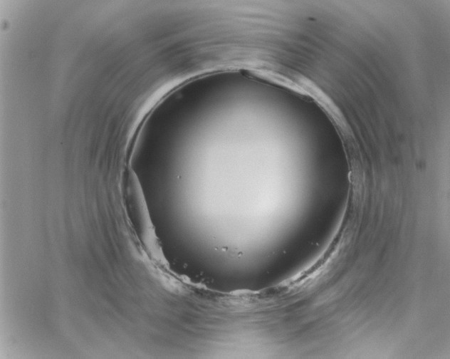 X0000065970956200603172047