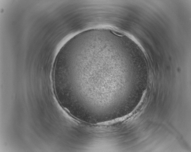 X0000065970959200603172047