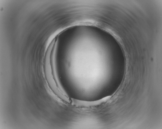 X0000065970960200603172047