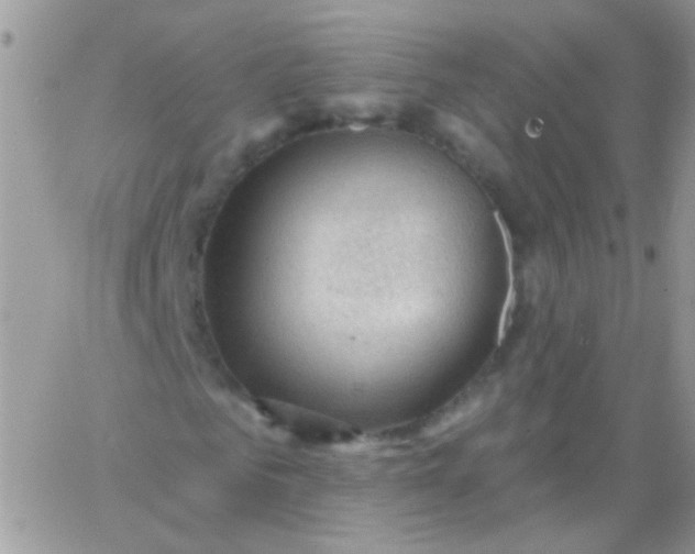 X0000065970961200603172046