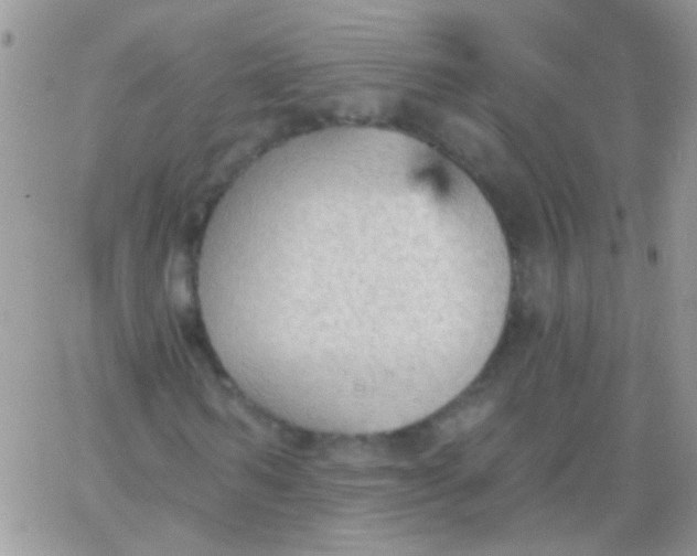 X0000065970962200603172046