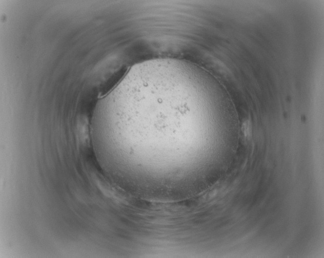 X0000065970963200603172046