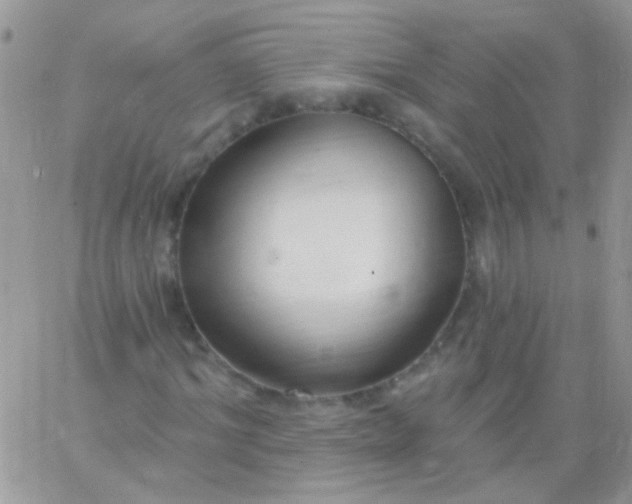 X0000065970964200603172046