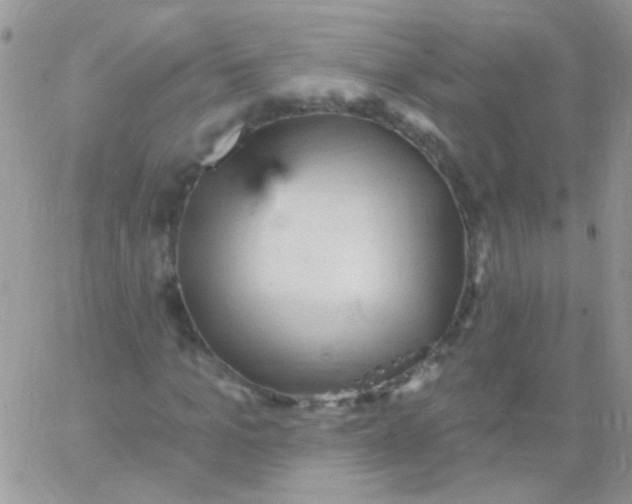 X0000065970965200603172046