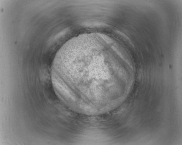 X0000065970966200603172046