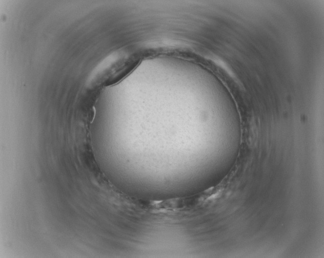 X0000065970967200603172046