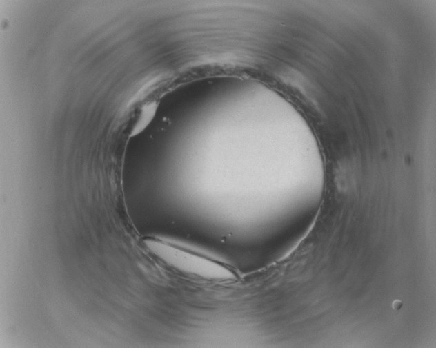 X0000065970968200603172046