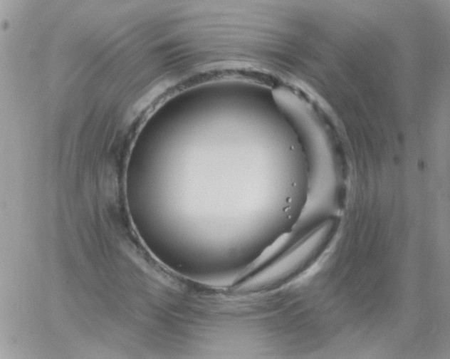 X0000065970969200603172046