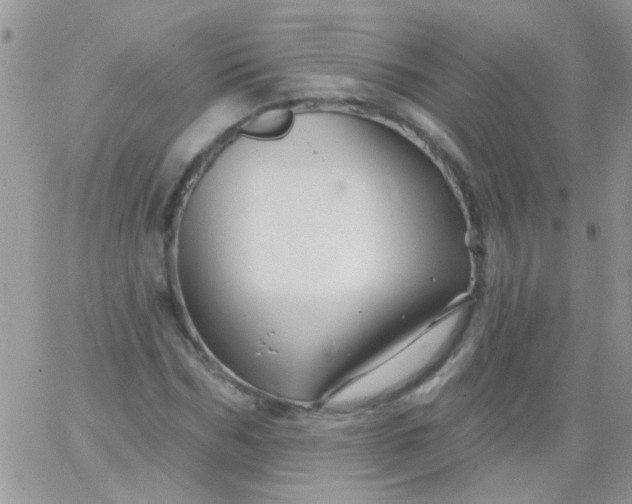 X0000065970970200603172046