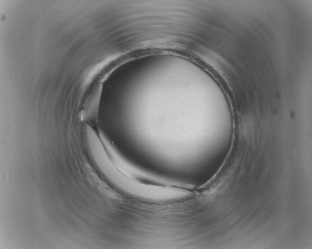 X0000065970971200603172046