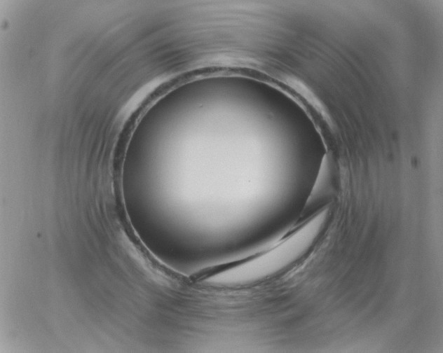 X0000065970972200603172046