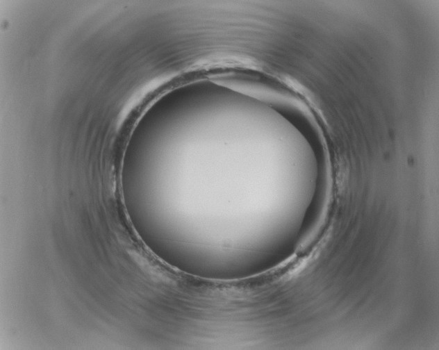 X0000065970973200603172046