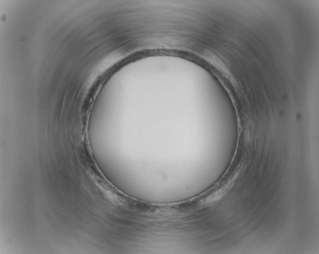 X0000065970974200603172046