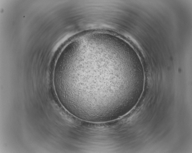 X0000065970975200603172046