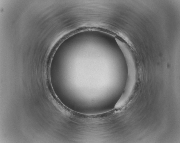 X0000065970976200603172046