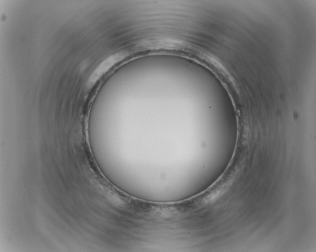 X0000065970978200603172046