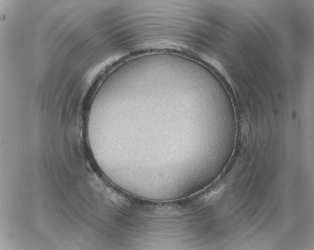 X0000065970979200603172046