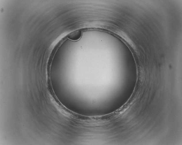 X0000065970980200603172046