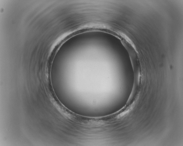 X0000065970981200603172046