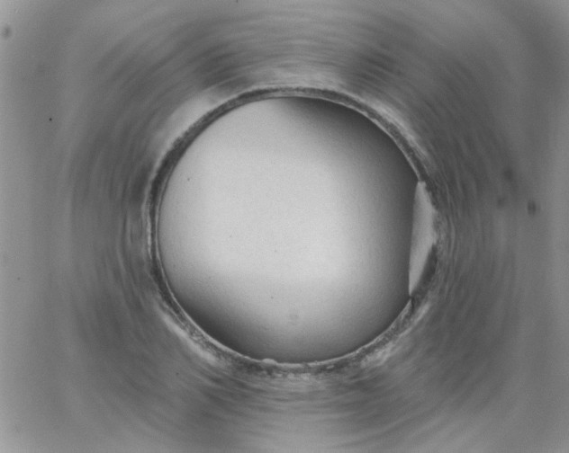 X0000065970982200603172046