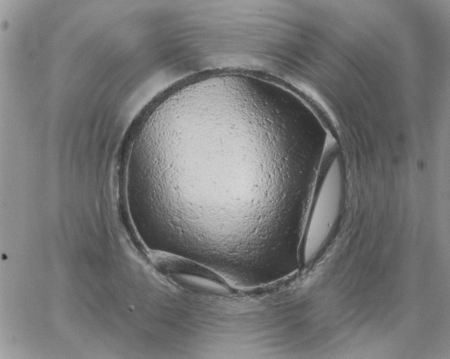 X0000065970983200603172046