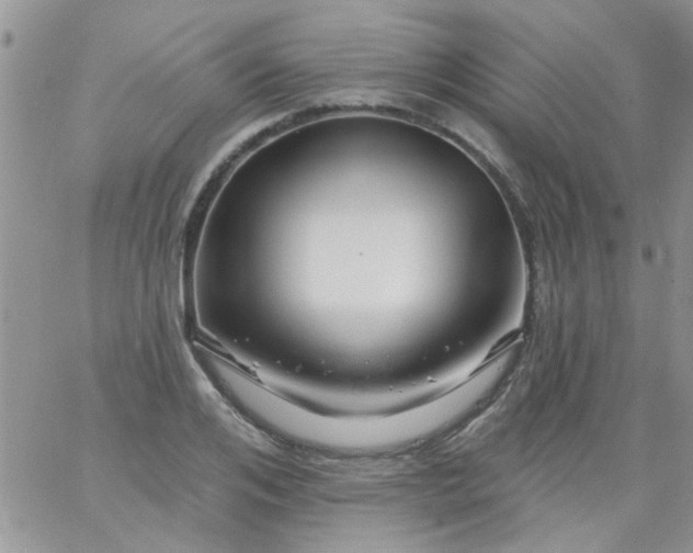 X0000065970984200603172046