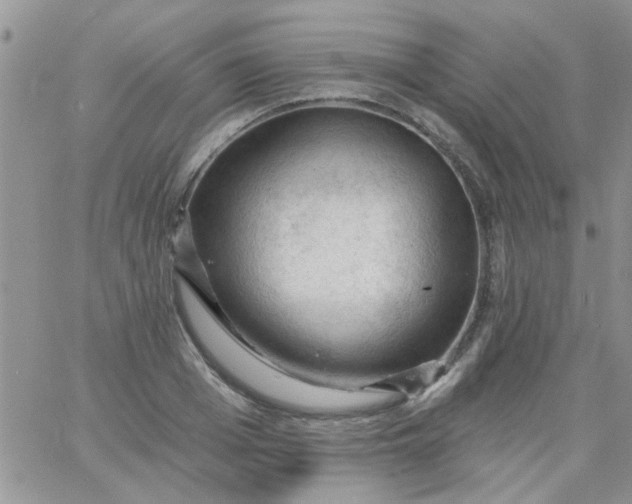 X0000065970985200603172046