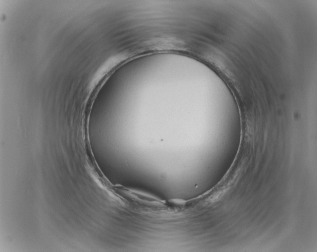 X0000065970986200603172046