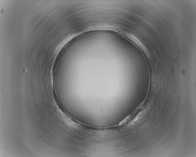 X0000065970988200603172046