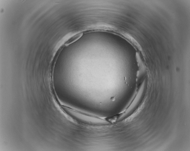 X0000065970989200603172046