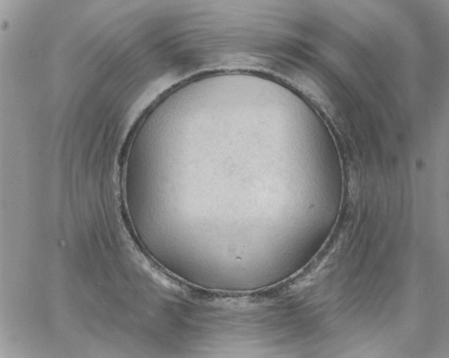 X0000065970990200603172046