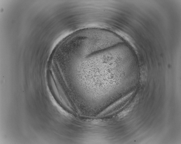 X0000065970991200603172045