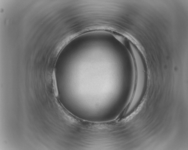 X0000065970993200603172045