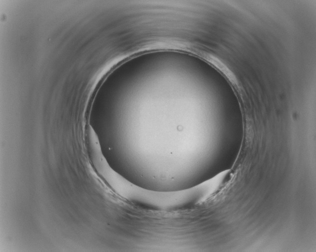 X0000065970996200603172045