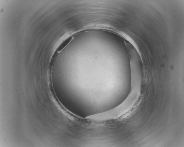 X0000065970997200603172045