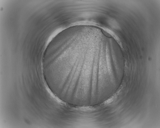 X0000065970998200603172045