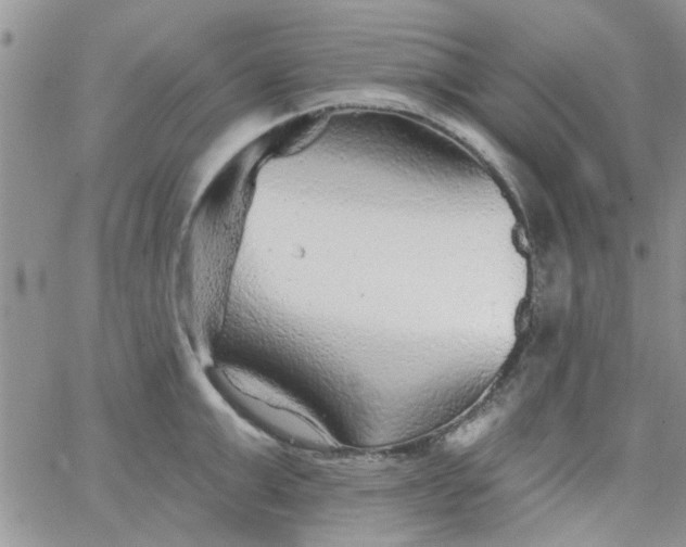 X0000065970999200603172045