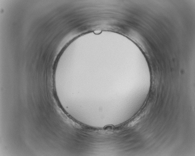 X0000065971000200603172045