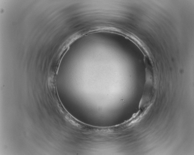 X0000065971001200603172045