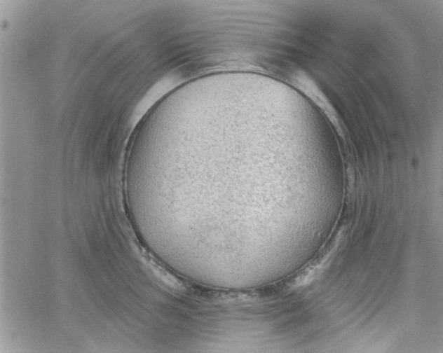 X0000065971002200603172045