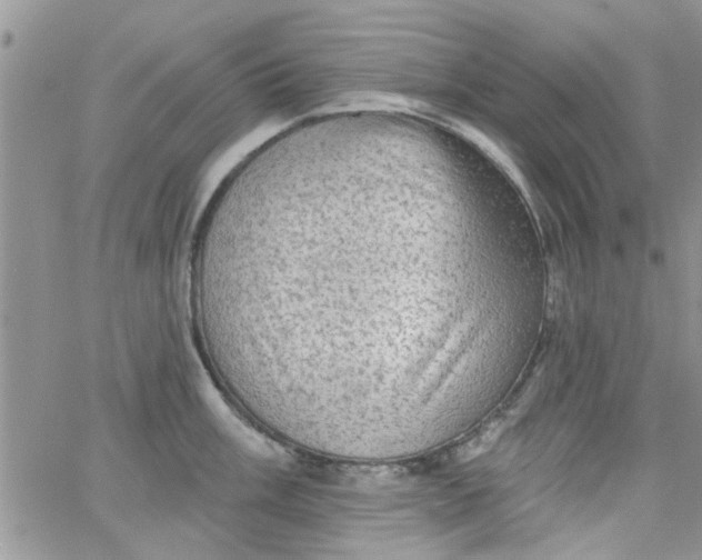 X0000065971003200603172045