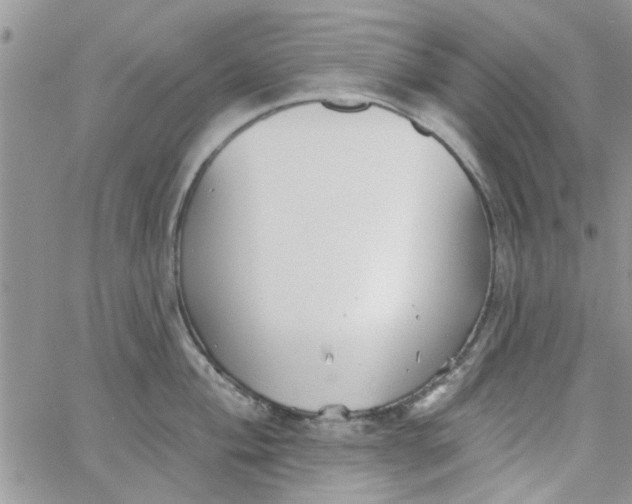 X0000065971004200603172045