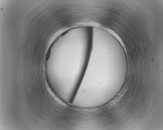 X0000065971005200603172045