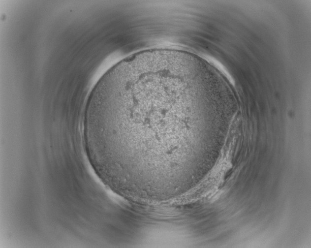 X0000065971007200603172045