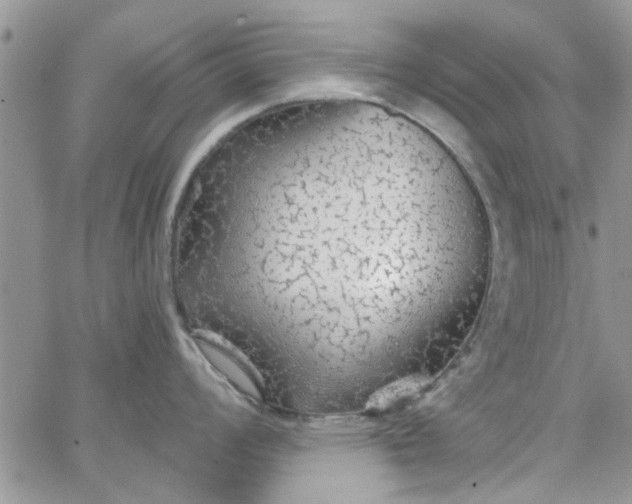 X0000065971008200603172045