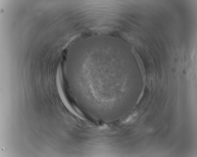 X0000065971010200603172044