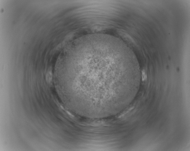 X0000065971011200603172044