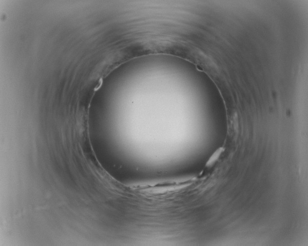 X0000065971012200603172044