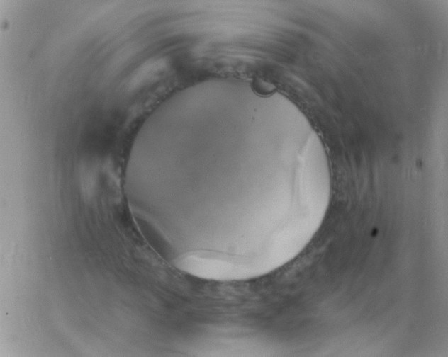 X0000065971013200603172044