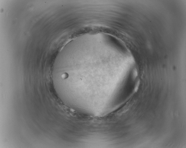 X0000065971014200603172045